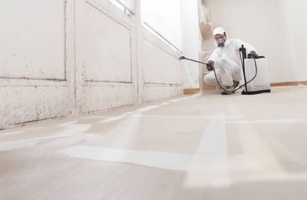 24/7 Emergency Attic Mold Removal experts in Roanoke, VA